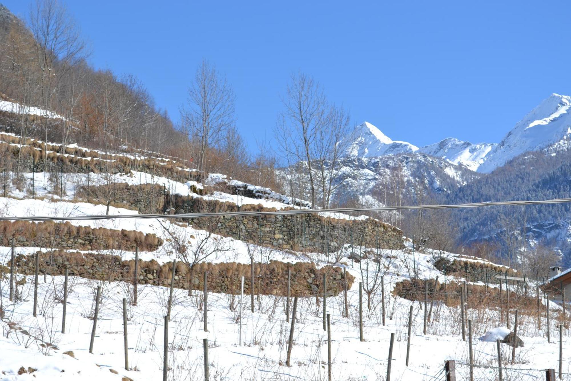 Casa Vacanza La Rocca Chiesa in Valmalenco Exteriér fotografie